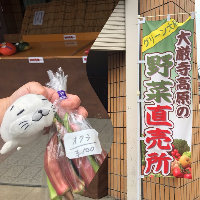 行きに松之山の無人直売所に寄りました♫野菜が安い🥰帰りは松之山温泉、足湯と鷹の湯♫松代の棚田も稲の緑が青々してます。そし 行きに松之山の無人直売所に寄りました♫野菜が安い🥰帰りは松之山温泉、足湯と鷹の湯♫松代の棚田も稲の緑が青々してます。そし