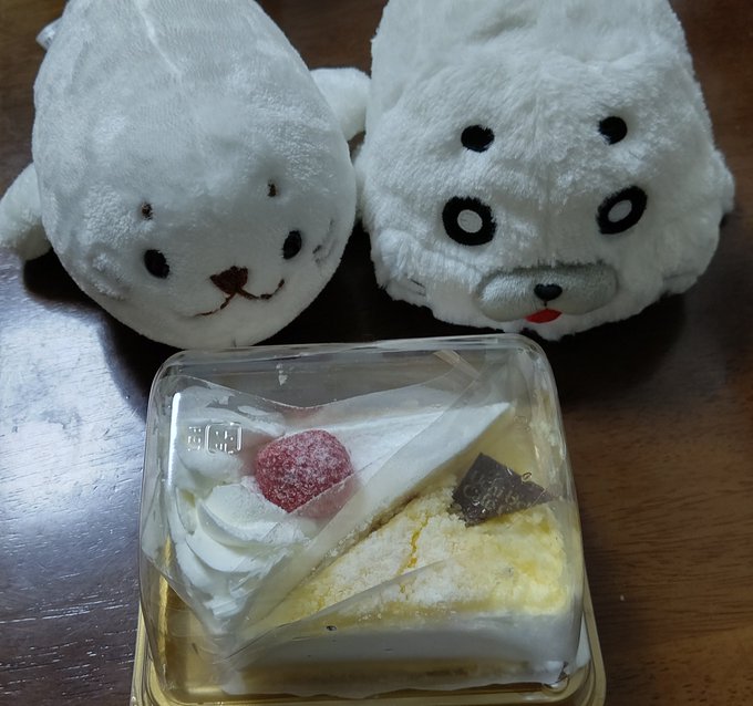 「今日はしろたんの誕生日だから、一緒にケーキを食べるでキュー!」「ありがとでキュー! ゴマちゃん先輩!」#しろたんお誕生 「今日はしろたんの誕生日だから、一緒にケーキを食べるでキュー!」「ありがとでキュー! ゴマちゃん先輩!」#しろたんお誕生