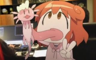 あいまいみー定期 あいまいみー定期