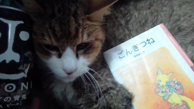 ビール呑みながら読書の時間。あおおにときつねとねこ。 ビール呑みながら読書の時間。あおおにときつねとねこ。