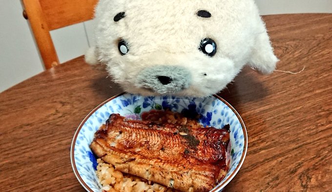 「生の方が美味しそうなんできゅけどね~…モギュモギュ🎵」 ※ 生の鰻には毒が有ります(>ω<) キュ…キ 「生の方が美味しそうなんできゅけどね~…モギュモギュ🎵」 ※ 生の鰻には毒が有ります(>ω<) キュ…キ