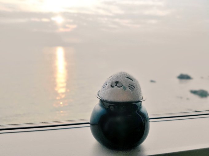 半年ぶりに海を見ました。これにはゴマちゃんもニッコ…あれ?#ゴマちゃん 半年ぶりに海を見ました。これにはゴマちゃんもニッコ…あれ?#ゴマちゃん