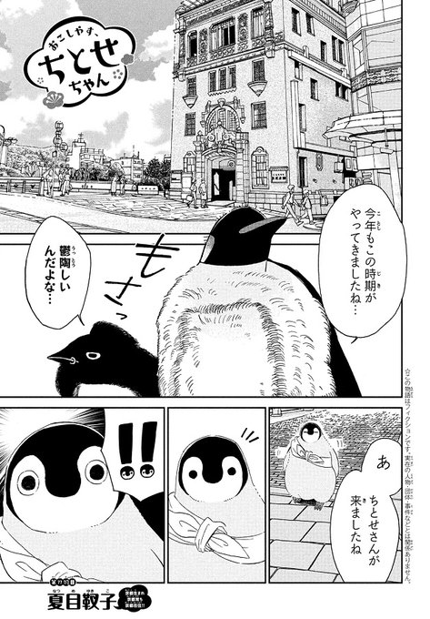 🐧BE・LOVE9月号 発売中☀#夏目靫子()さん『#おこしやす、ちとせちゃん』が掲載💗1年に1回全身の羽毛が生え変わる 🐧BE・LOVE9月号 発売中☀#夏目靫子()さん『#おこしやす、ちとせちゃん』が掲載💗1年に1回全身の羽毛が生え変わる