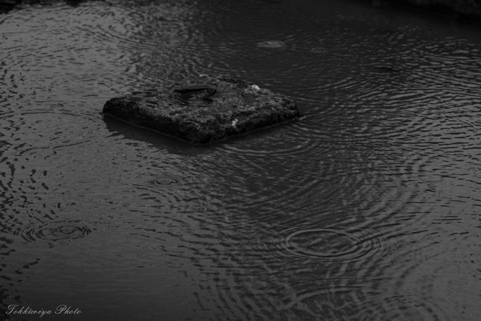 【一つの風景】#散歩道にて#スナップ写真#キリトリ世界 #いろいろ撮ってみる #island 【一つの風景】#散歩道にて#スナップ写真#キリトリ世界 #いろいろ撮ってみる #island