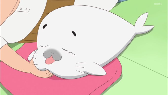 ゴマちゃん💕なんとも気持ちよさそう😍見てると癒やされるのだ✨#医学的根拠はないがコロナに効くもの #ゴマちゃん ゴマちゃん💕なんとも気持ちよさそう😍見てると癒やされるのだ✨#医学的根拠はないがコロナに効くもの #ゴマちゃん