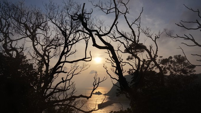 島の北側に行ったら綺麗な空が 😅Sunset in the northern area of the island. 島の北側に行ったら綺麗な空が 😅Sunset in the northern area of the island.