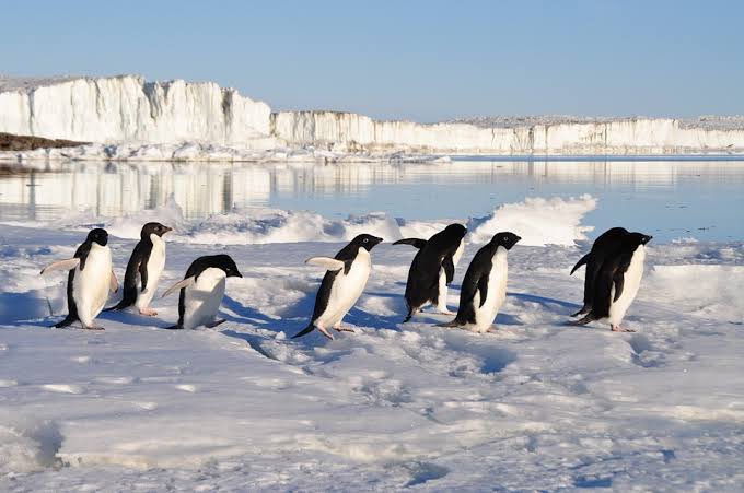 まずは、国際関係学科3年のNさんからのオススメです。「ペンギン・ハイウェイ🐧予想を超える不思議なお話。私もこんな世界に住 まずは、国際関係学科3年のNさんからのオススメです。「ペンギン・ハイウェイ🐧予想を超える不思議なお話。私もこんな世界に住