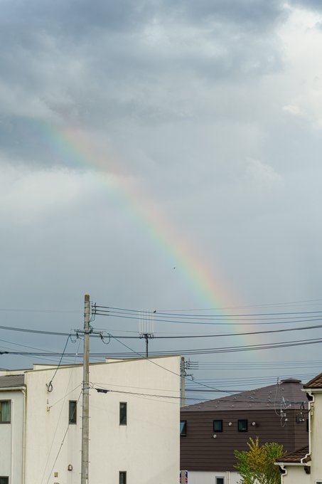 虹を見ると、蟲師を思い出す。あの世界観はのめり込まざるを得ないからね。 虹を見ると、蟲師を思い出す。あの世界観はのめり込まざるを得ないからね。