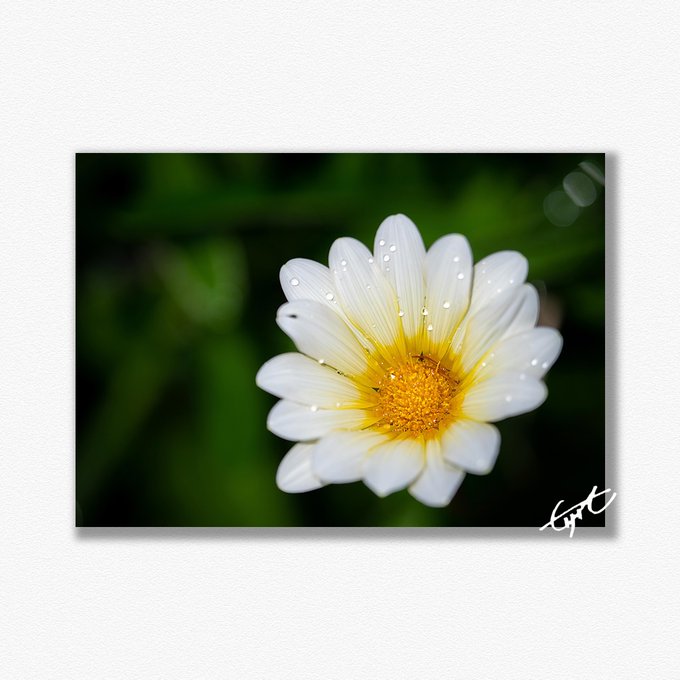 今日も素敵な1日となりますように。 #beautiful #pretty #energetic #energy #nat 今日も素敵な1日となりますように。 #beautiful #pretty #energetic #energy #nat