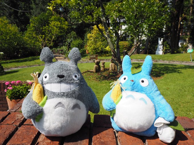 特別企画展“となりのトトロのぬいぐるみ展”は絶賛開催中です✨ぬいぐるみワークショップでは、自分だけのトトロのぬいぐるみが 特別企画展“となりのトトロのぬいぐるみ展”は絶賛開催中です✨ぬいぐるみワークショップでは、自分だけのトトロのぬいぐるみが