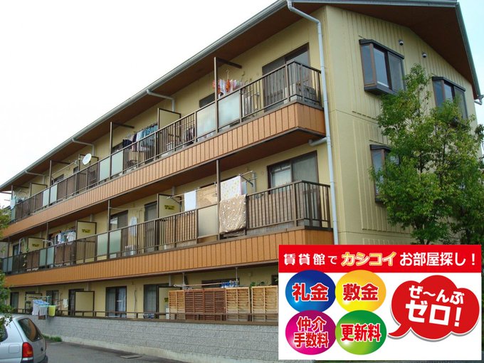 ◆オススメ物件◆ 『メゾン桑野』家 賃:5.5万円共益費:3,500円駐車場代:5,500円礼 金:ナシ!敷 金 ◆オススメ物件◆ 『メゾン桑野』家 賃:5.5万円共益費:3,500円駐車場代:5,500円礼 金:ナシ!敷 金