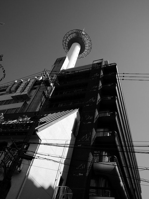 朝晩が涼しくなってうれしいけど、ちょっぴり寂しい。#photography #streetphotography #st 朝晩が涼しくなってうれしいけど、ちょっぴり寂しい。#photography #streetphotography #st