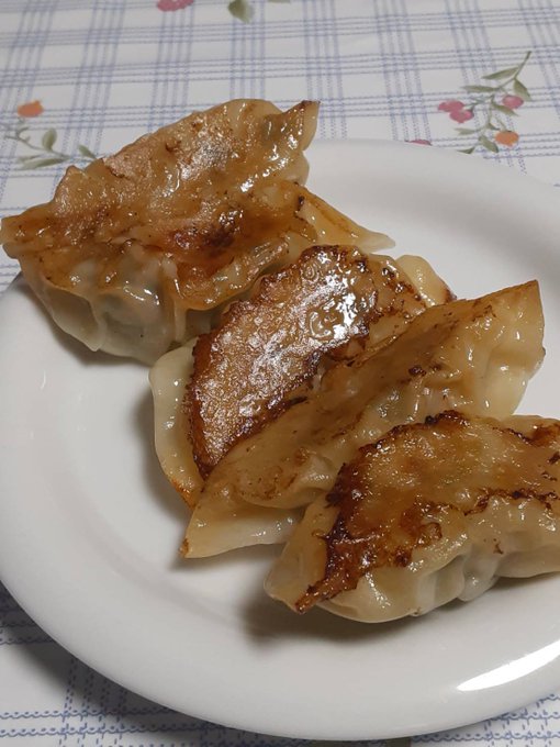 琴浦さんちの野菜畑🍅今週は焼き餃子に挑戦!畑で採れた野菜はネギです!その他キャベツ、ニラ、ニンニク、ミンチ肉を入れました 琴浦さんちの野菜畑🍅今週は焼き餃子に挑戦!畑で採れた野菜はネギです!その他キャベツ、ニラ、ニンニク、ミンチ肉を入れました