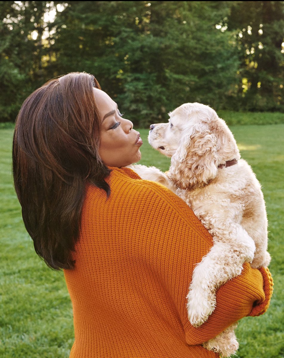 Me and Sadie in this month’s @oprahmagazine—and 11 years ago when we first met at @PAWSChicago!😘🐶 