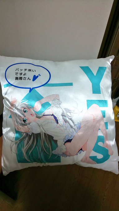 あと掘り出したもので、昔買ったニャル子さんイエスノー枕のセンス容赦なくて死ぬほど好き あと掘り出したもので、昔買ったニャル子さんイエスノー枕のセンス容赦なくて死ぬほど好き