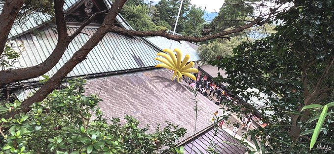 『ぎんぎつね』#チームKMS #GOsnapshot 『ぎんぎつね』#チームKMS #GOsnapshot
