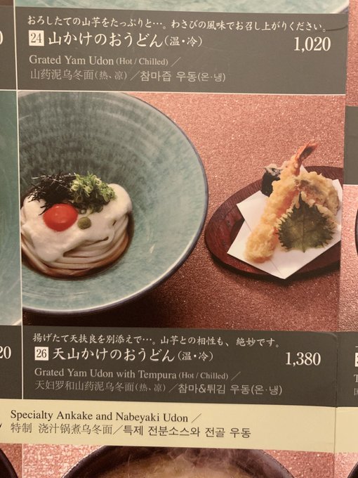 つるとんた〜ん!ニコル連れてくるの忘れたーーー😭BUMPが来たお店はお休みだったから違う店舗。まだ行けてないからまたいつ つるとんた〜ん!ニコル連れてくるの忘れたーーー😭BUMPが来たお店はお休みだったから違う店舗。まだ行けてないからまたいつ