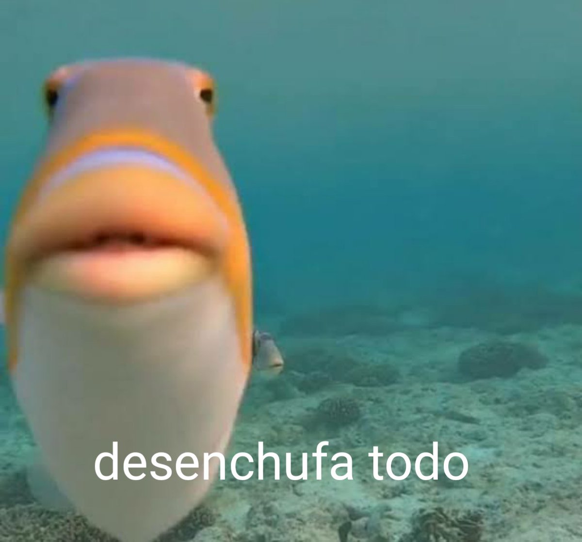 *Empieza a llover y a tronar*. Mi papá: : mejico