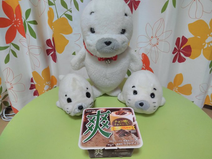 【#ゴマちゃんアルバム 323】新作❓ロッテの爽チョコ増しチョココーヒーこれ絶対美味しいやつや😋ゴマちゃん達に取られてな 【#ゴマちゃんアルバム 323】新作❓ロッテの爽チョコ増しチョココーヒーこれ絶対美味しいやつや😋ゴマちゃん達に取られてな