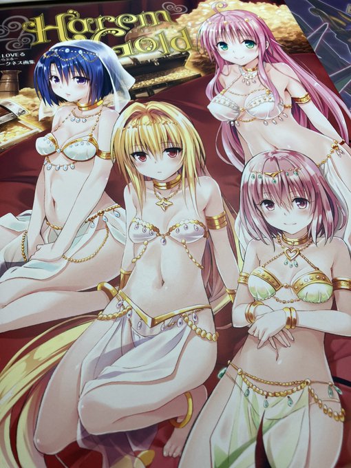 n度目のToLOVEる画集 n度目のToLOVEる画集