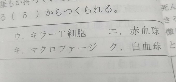 はたらく細胞思い出してちょっとテンション上がった はたらく細胞思い出してちょっとテンション上がった