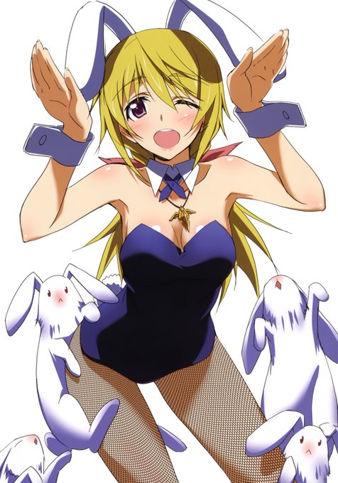 インフィニット・ストラトス(Infinite Stratos) シャルロット・デュノア(Charlotte Dunois インフィニット・ストラトス(Infinite Stratos) シャルロット・デュノア(Charlotte Dunois