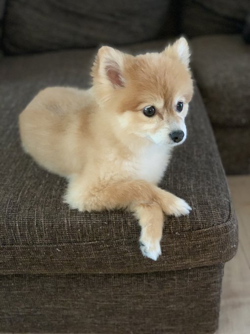 おはぽーん🐶🤤子供の頃の金曜日楽しみ✨・ドラえもん・しんちゃん・金曜ロードショー・明日が休み今の金曜日の楽しみ✨・鬼滅の おはぽーん🐶🤤子供の頃の金曜日楽しみ✨・ドラえもん・しんちゃん・金曜ロードショー・明日が休み今の金曜日の楽しみ✨・鬼滅の