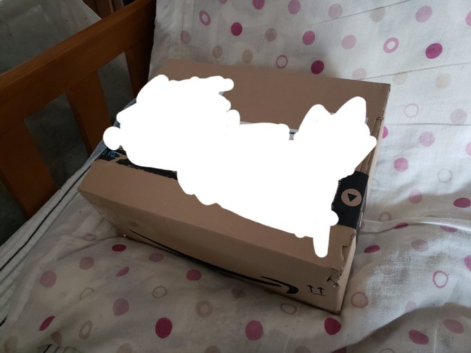 から自分用の誕生日プレゼントに買ったドイツ語版アニメBlu-rayがついに届いた!10日で来るとは結構早いなあ・シュヴ から自分用の誕生日プレゼントに買ったドイツ語版アニメBlu-rayがついに届いた!10日で来るとは結構早いなあ・シュヴ