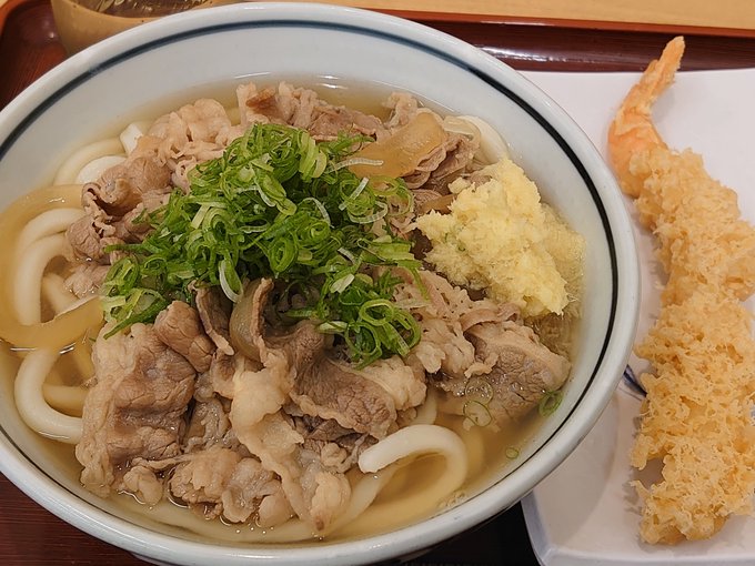 うどんの国、定番はやはり肉うどんか。 うどんの国、定番はやはり肉うどんか。
