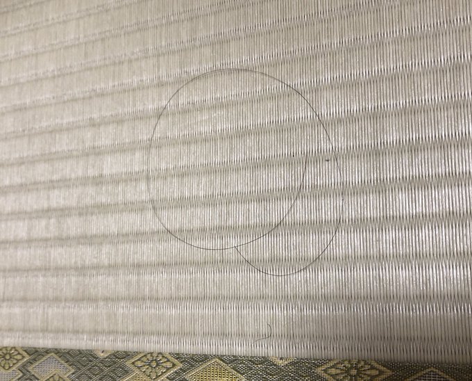 「ママ!畳におしりがいるよ!!」い、意味がわからん…と思ったら、本当におしりたんていがいた。 「ママ!畳におしりがいるよ!!」い、意味がわからん…と思ったら、本当におしりたんていがいた。