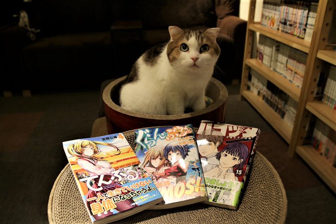 漫画入荷情報てんぷるぐらんぶるハコヅメうりの表情の差にもご注目 漫画入荷情報てんぷるぐらんぶるハコヅメうりの表情の差にもご注目