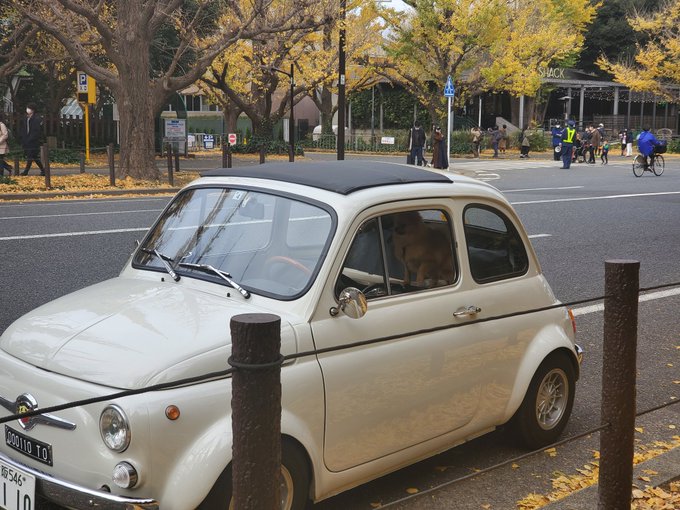 おはようございます🙂走っていたら、ルパン三世の車にポメラニアンが乗っているのを見つけて、思わずパシャリ📷しんのすけにもこ おはようございます🙂走っていたら、ルパン三世の車にポメラニアンが乗っているのを見つけて、思わずパシャリ📷しんのすけにもこ