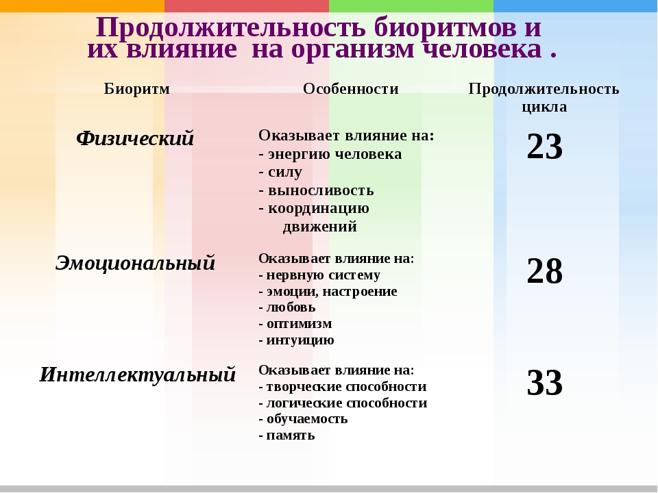 Биоритмы Человека И Снижение Веса