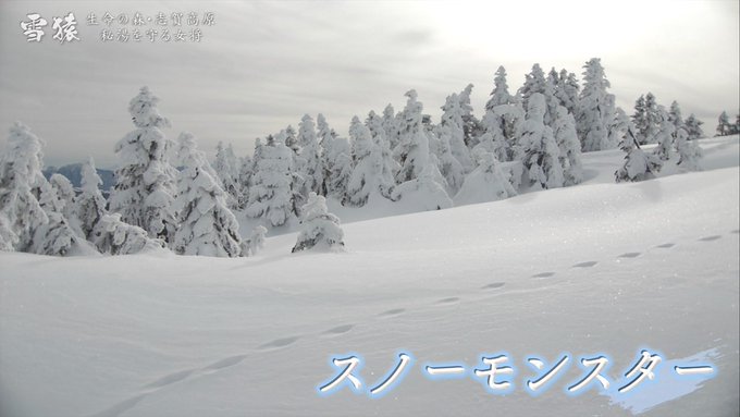 一瞬モンスーノに空目した 一瞬モンスーノに空目した