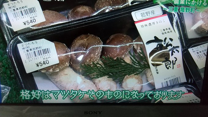 NHK津松太郎これを山内君が作るのか🍄#鈴鹿ポイントゲッターズ NHK津松太郎これを山内君が作るのか🍄#鈴鹿ポイントゲッターズ