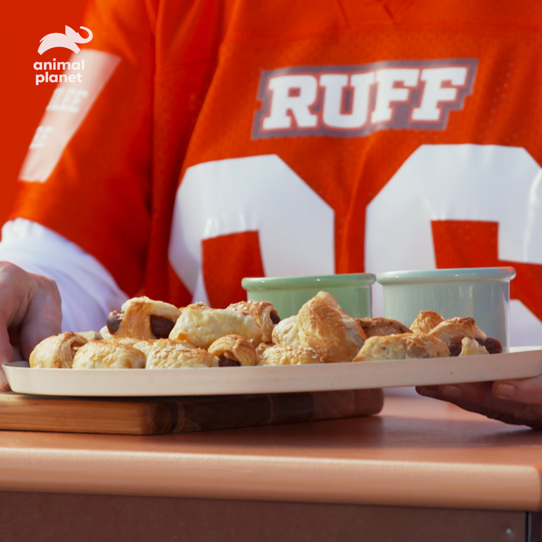 Would you rather try my
special #PuppyBowlDogs in a
Blanket or @SnoopDogg’s
Pupcakes? 