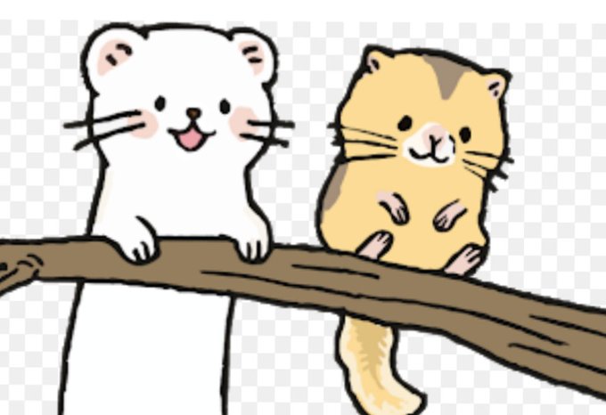 オコジョとヤマネ オコジョとヤマネ