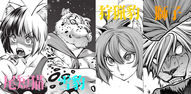 【発売まであと5日!】本日2月22日は猫の日ということで、2/27(土)発売の『キリングバイツ』最新17巻に登場するネコ 【発売まであと5日!】本日2月22日は猫の日ということで、2/27(土)発売の『キリングバイツ』最新17巻に登場するネコ