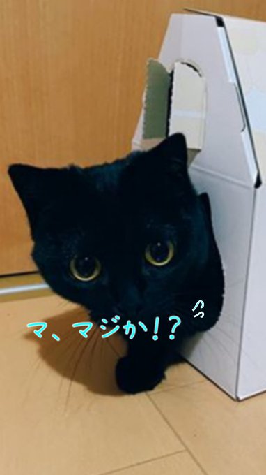 ぉはょう✨まだ寝もぃのに目が覚めた今日は休日 オレの4日ホリデー最終日そうだ!昨夜「え?」な事があった。最近ここに載せた ぉはょう✨まだ寝もぃのに目が覚めた今日は休日 オレの4日ホリデー最終日そうだ!昨夜「え?」な事があった。最近ここに載せた