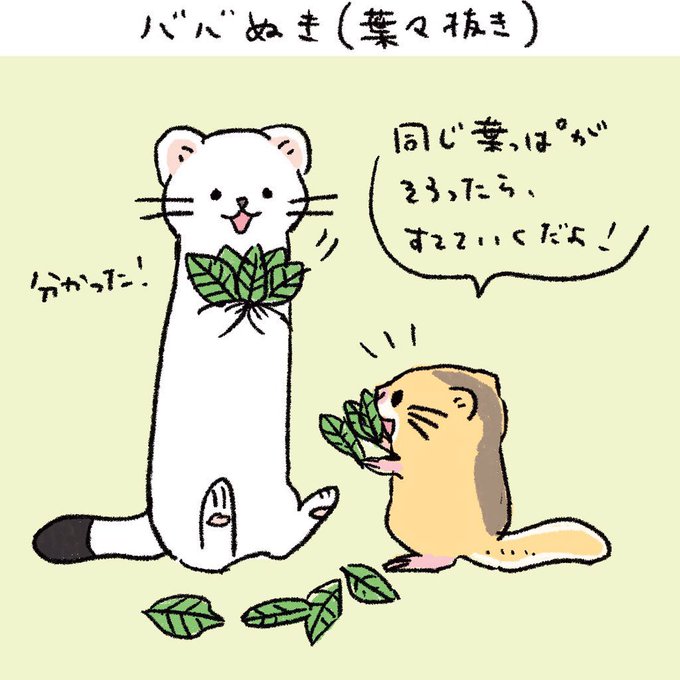 懐かしいいのを久しぶりに発掘したので…!#おこやままんが #オコジョとヤマネ「ババ抜き」 懐かしいいのを久しぶりに発掘したので…!#おこやままんが #オコジョとヤマネ「ババ抜き」
