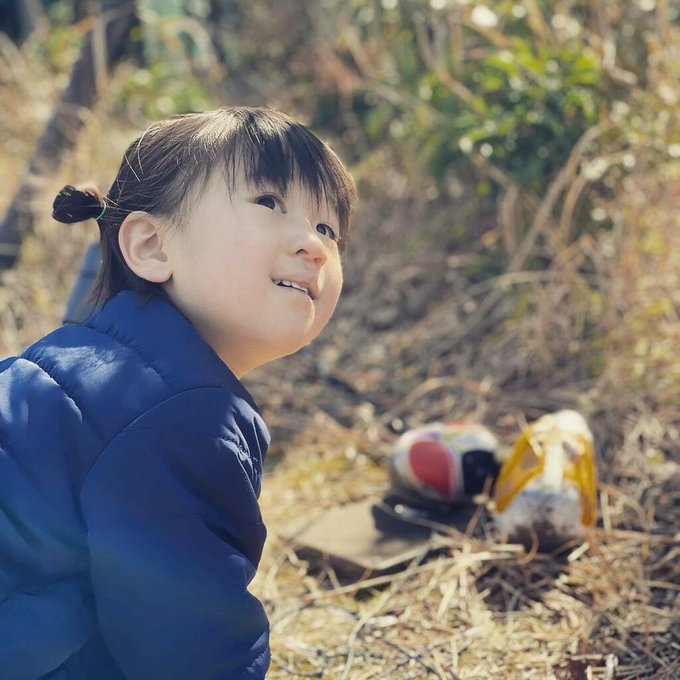 「おひなさまみつけたよ!」と嬉しそうに教えてくれた2歳児#winterrise #hinamatsuri #kids # 「おひなさまみつけたよ!」と嬉しそうに教えてくれた2歳児#winterrise #hinamatsuri #kids #