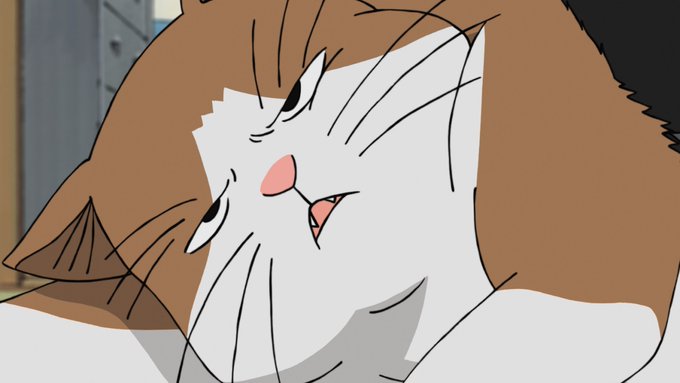 おはようございます☀2月22日は #猫の日🐈今日は1日を通して、#wbj_anime に出てくる猫さんをご紹介します☺ま おはようございます☀2月22日は #猫の日🐈今日は1日を通して、#wbj_anime に出てくる猫さんをご紹介します☺ま