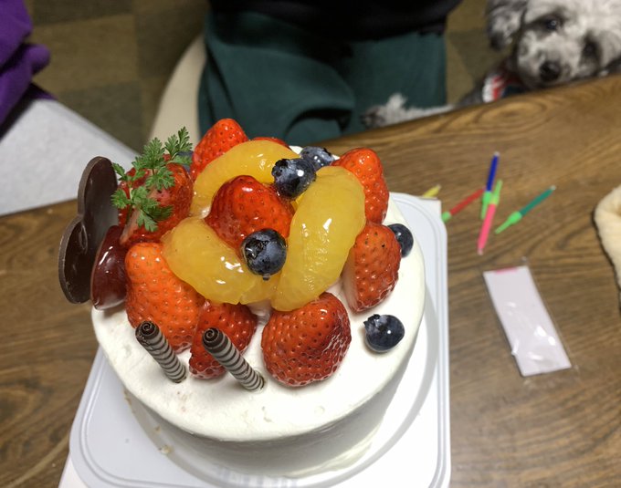 次女の誕生日ケーキを食す。今年もまた『ペンギン・ハイウェイ』の街のドイツ菓子店🇩🇪ゲベックさんのケーキ。 次女の誕生日ケーキを食す。今年もまた『ペンギン・ハイウェイ』の街のドイツ菓子店🇩🇪ゲベックさんのケーキ。