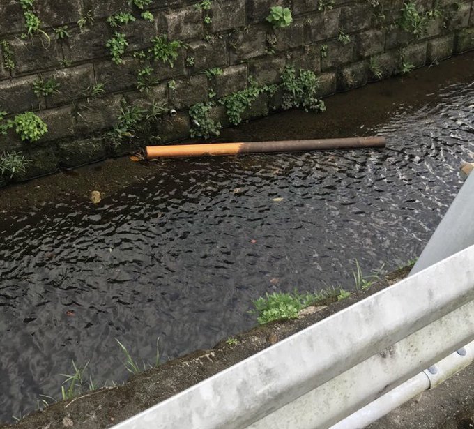 川にでけえポッキー落ちてて2度見した 川にでけえポッキー落ちてて2度見した