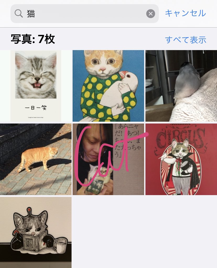 文鳥 In 猫で検索したら7枚しかなかったけど もっとあるし右上文鳥とわしの肩だし色々おかしい あっちゃんは警察が怖いので軽く隠しときましたすいませんね