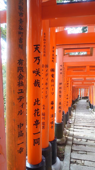 伏見稲荷大社にて天乃咲哉先生の鳥居。やっと見に行けた!#このはな綺譚 伏見稲荷大社にて天乃咲哉先生の鳥居。やっと見に行けた!#このはな綺譚