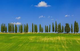 Toscana Notizie