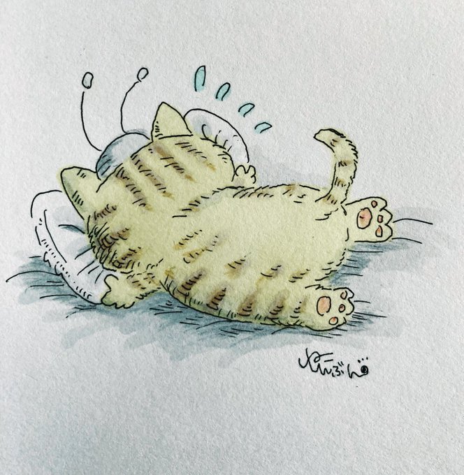 なんだぃ!カリメロばっかり可愛いって言われて💦ねこしんぶんだってカリメロに負けないんだからっ❗️とカリメロに嫉妬しながら なんだぃ!カリメロばっかり可愛いって言われて💦ねこしんぶんだってカリメロに負けないんだからっ❗️とカリメロに嫉妬しながら