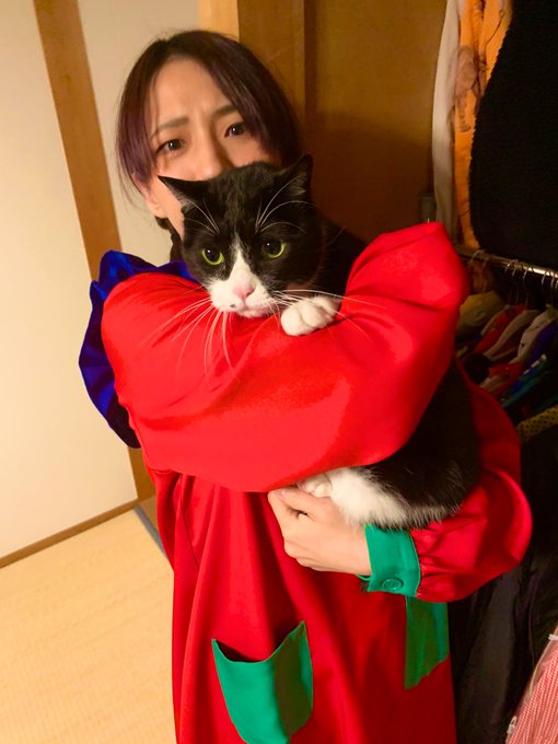 放送に物凄い猫の声が乗ってしまいました。盲点…プレゼンめちゃ頑張って資料まとめたのに力が抜けて笑ってしまってすみません🙇 放送に物凄い猫の声が乗ってしまいました。盲点…プレゼンめちゃ頑張って資料まとめたのに力が抜けて笑ってしまってすみません🙇