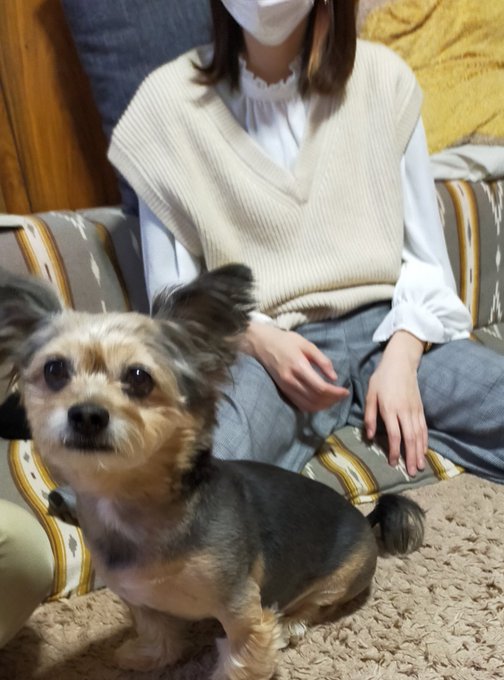 お姉ちゃんが来たワン!嬉しいワン#シマホイヌダスケ #保護犬を家族に お姉ちゃんが来たワン!嬉しいワン#シマホイヌダスケ #保護犬を家族に